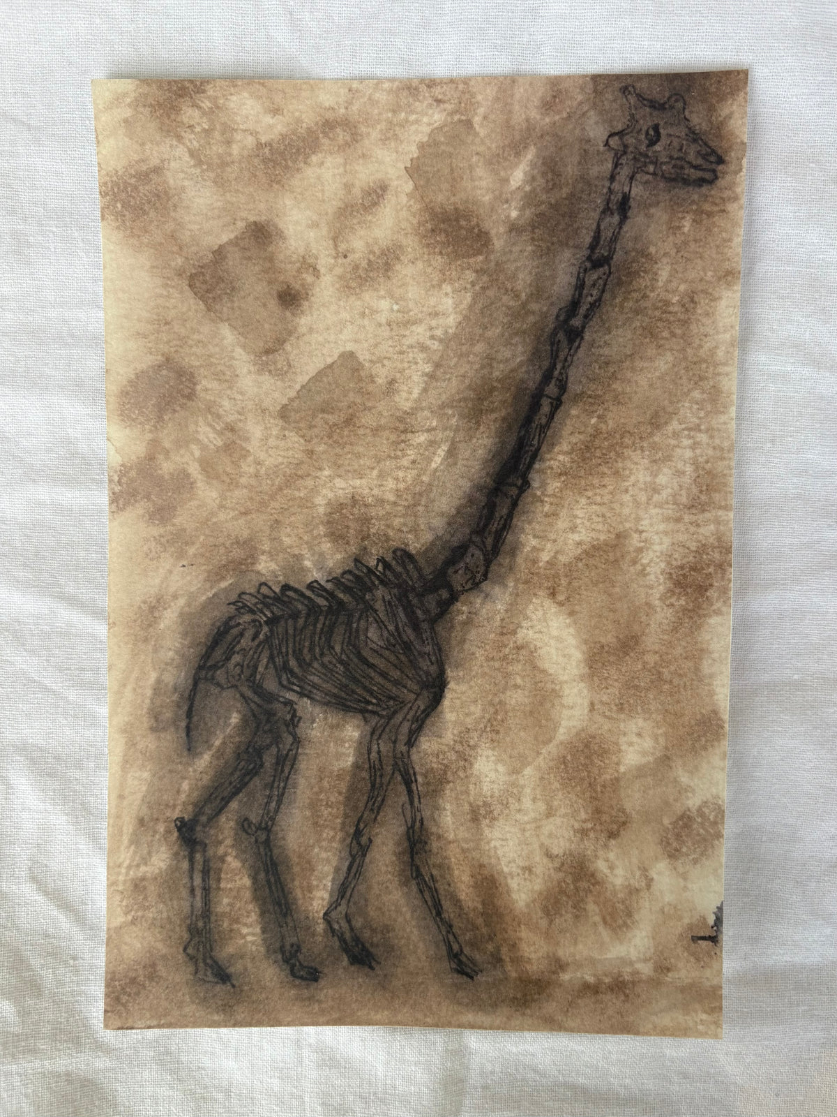 Giraffe Print