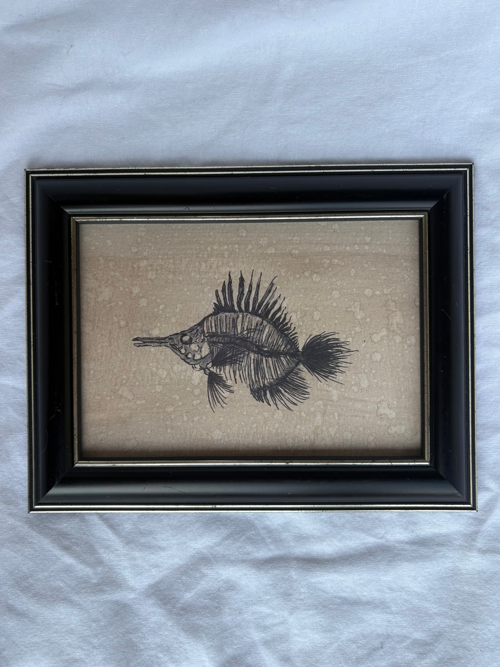 Butterfly Fish Print