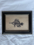 Butterfly Fish Print