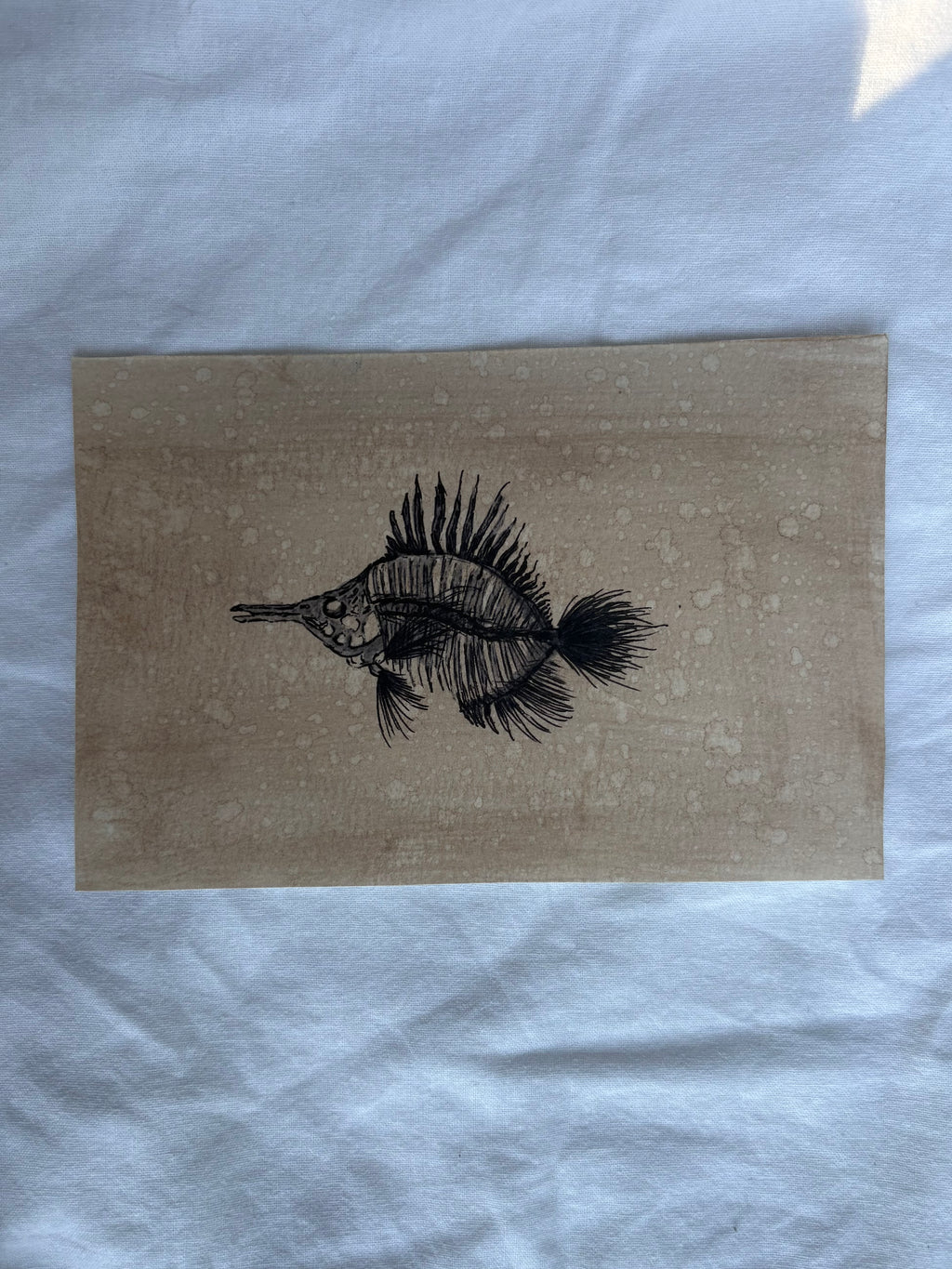 Butterfly Fish Print