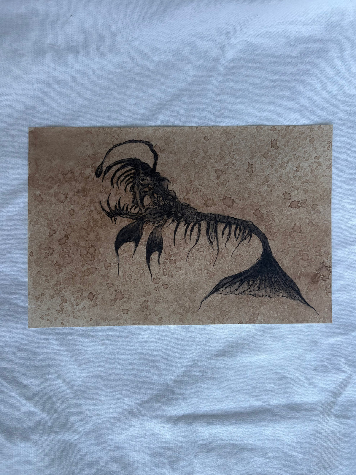 Anglerfish Print