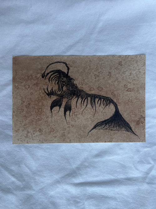 Anglerfish Print